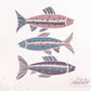 Colorful Fish Fisherman Aesthetic, Fish PNG, Coastal Artwork, Coastal Vibes, Trendy Fish Png Digital Design