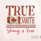 Retro Canada png, True North Png, Canada Day Png, Distressed Flag