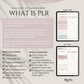 PLR, Daily Planner Page, Daily Planner Plr, Simple Minimalist Plr